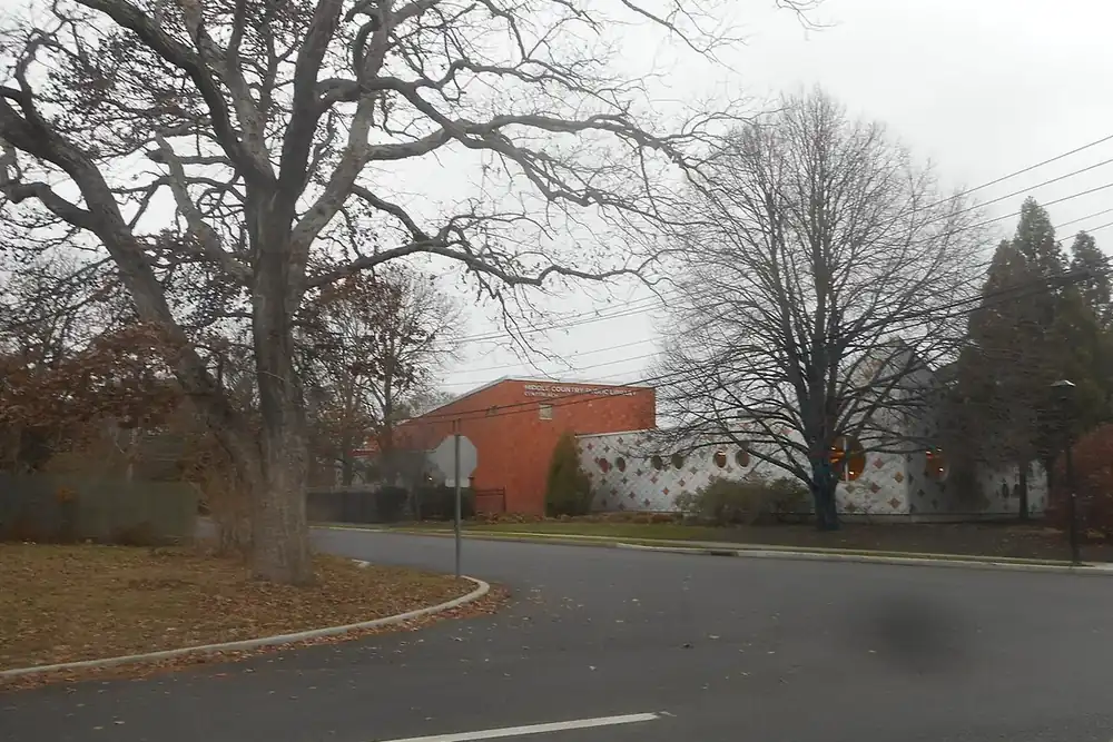 Road curving past large bare trees and a library building in Centereach, New York
