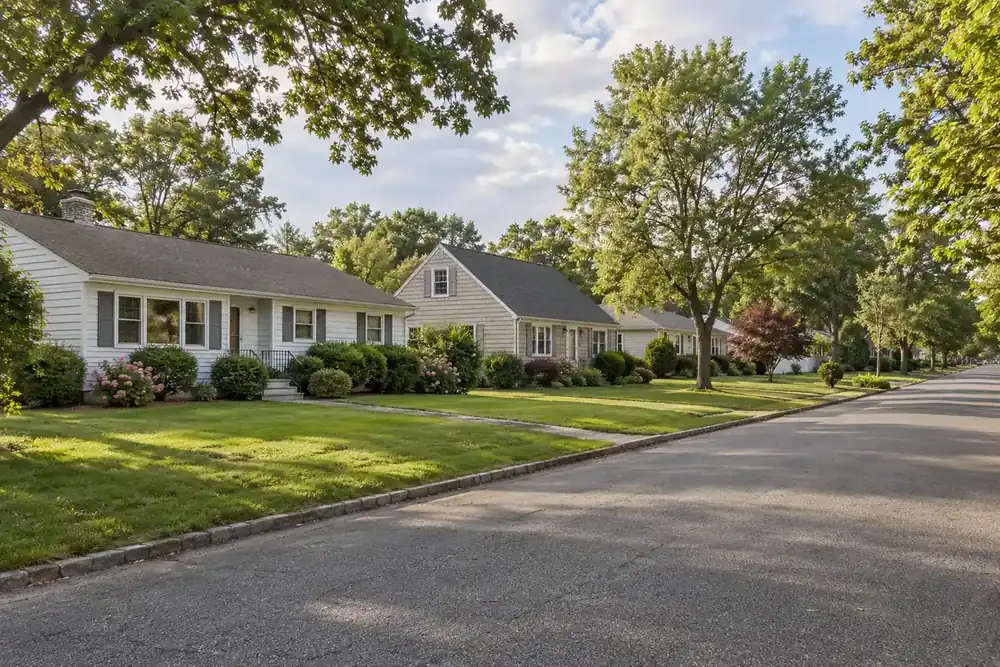 Illustration of a typical residential street in the Greenlawn, NY area