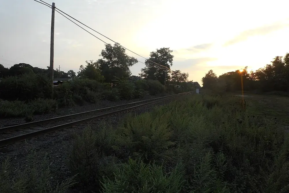 Railroad tracks running through scrub and trees at sunset in Holtsville, New York