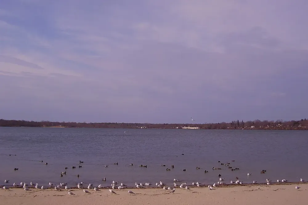 Sandy shore with gulls at the edge of Lake Ronkonkoma at dusk, New York