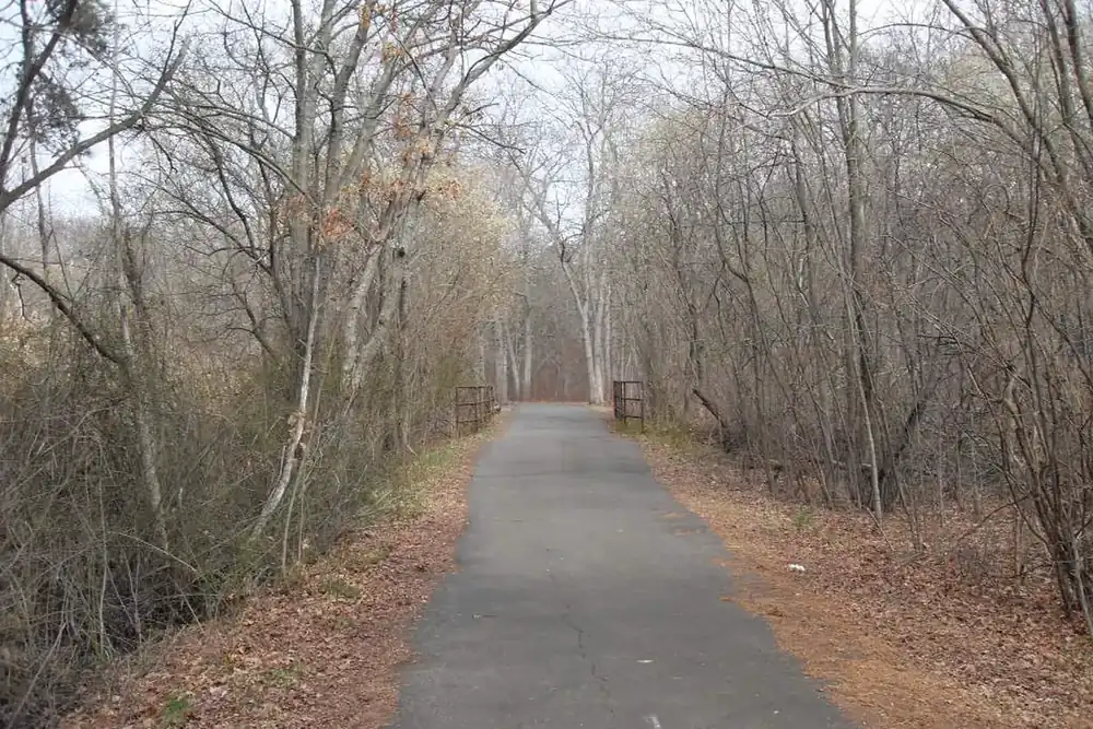 Paved walking trail through bare woodland in the Massapequa Preserve near Massapequa Park, New York