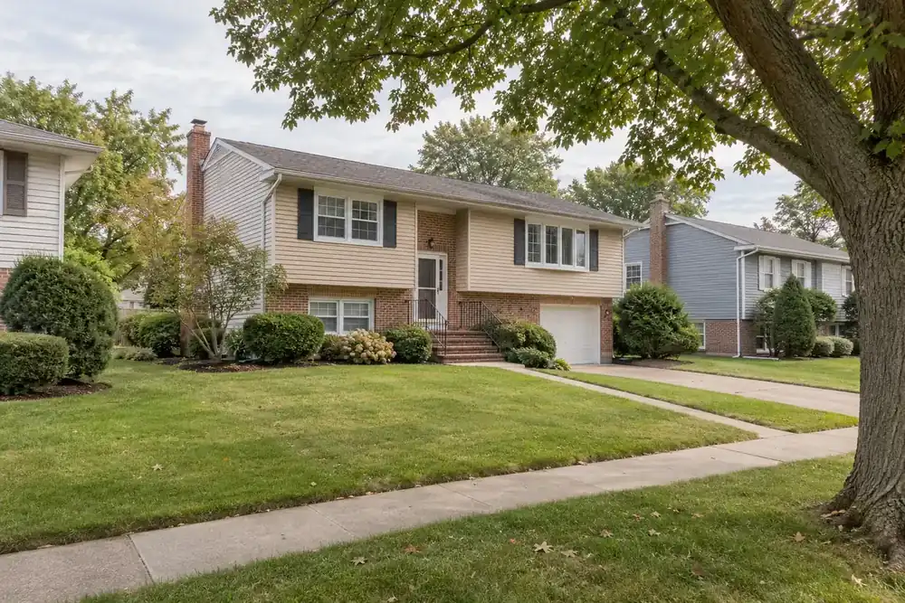 Illustration of a typical residential street in the New Hyde Park, NY area