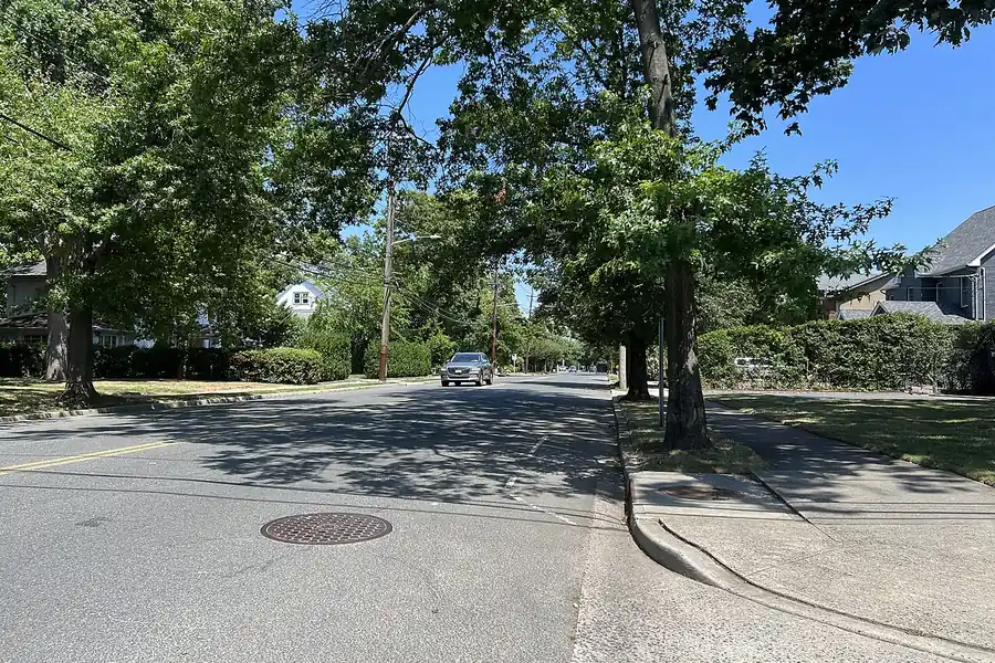 Quiet residential street shaded by large trees in Woodmere, New York